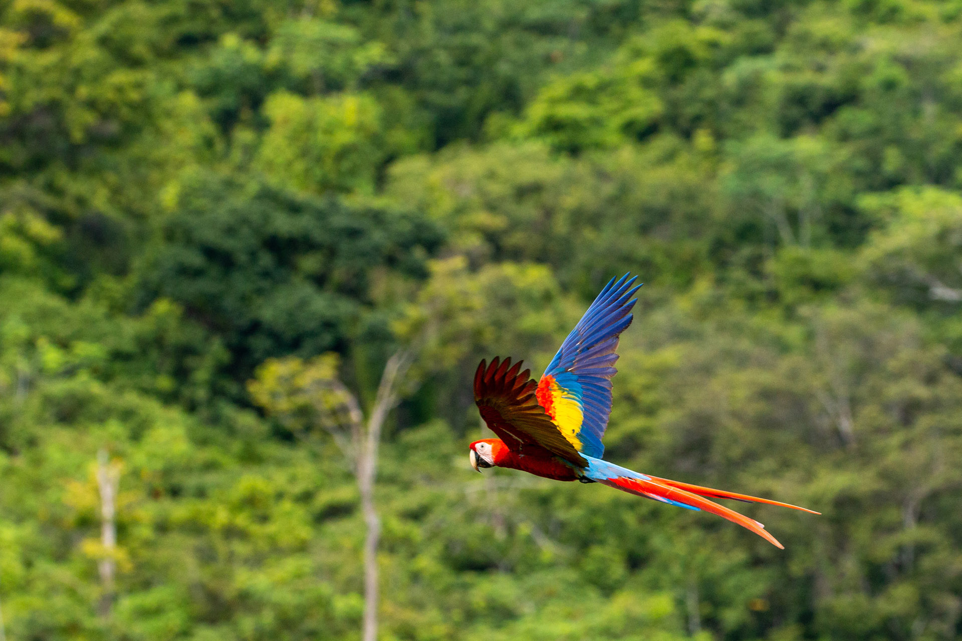 Refill Trip in Costa Rica